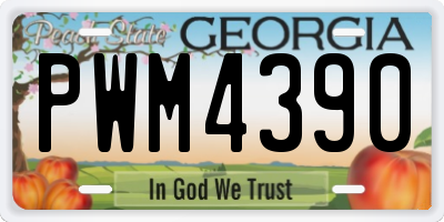 GA license plate PWM4390