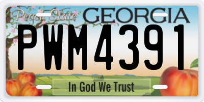 GA license plate PWM4391