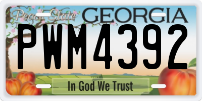 GA license plate PWM4392