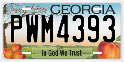 GA license plate PWM4393