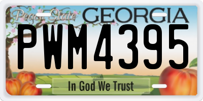 GA license plate PWM4395