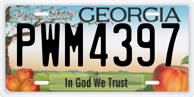 GA license plate PWM4397