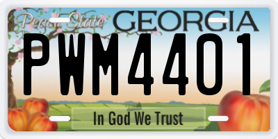 GA license plate PWM4401