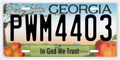 GA license plate PWM4403