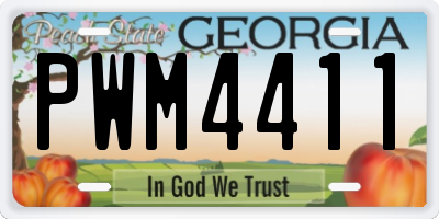 GA license plate PWM4411