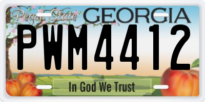 GA license plate PWM4412
