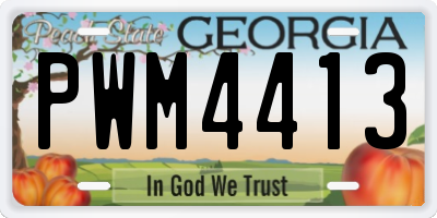 GA license plate PWM4413