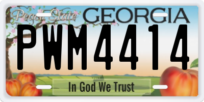GA license plate PWM4414