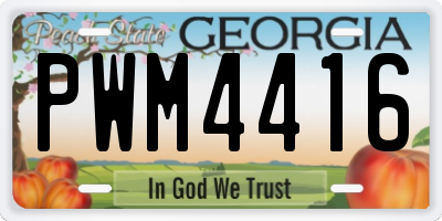 GA license plate PWM4416
