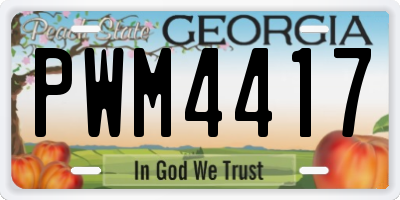 GA license plate PWM4417