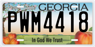 GA license plate PWM4418