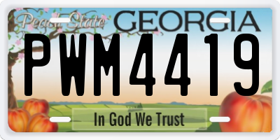 GA license plate PWM4419