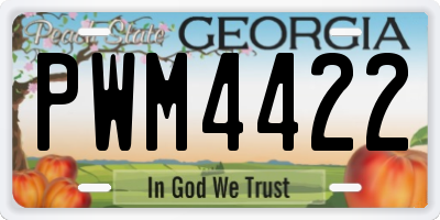 GA license plate PWM4422