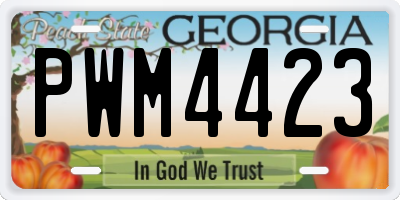 GA license plate PWM4423