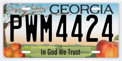 GA license plate PWM4424