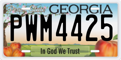 GA license plate PWM4425