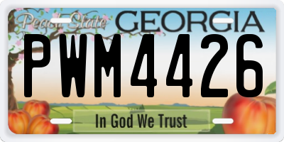 GA license plate PWM4426