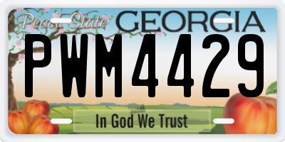 GA license plate PWM4429