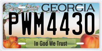 GA license plate PWM4430