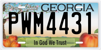 GA license plate PWM4431