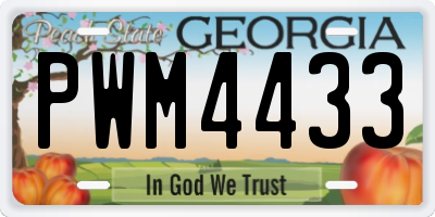 GA license plate PWM4433