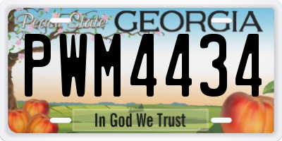 GA license plate PWM4434