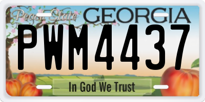 GA license plate PWM4437