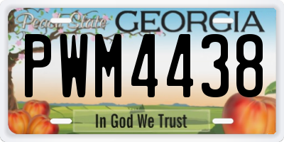 GA license plate PWM4438