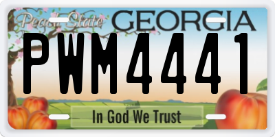 GA license plate PWM4441