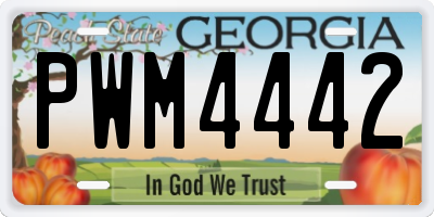 GA license plate PWM4442