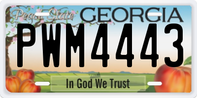 GA license plate PWM4443
