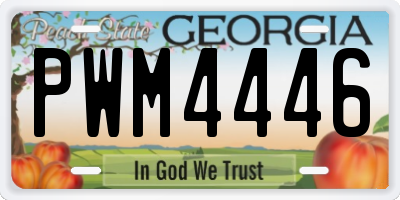 GA license plate PWM4446