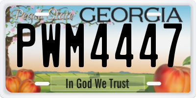 GA license plate PWM4447