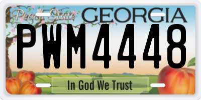 GA license plate PWM4448