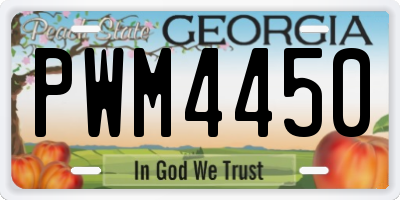 GA license plate PWM4450