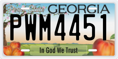 GA license plate PWM4451