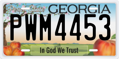 GA license plate PWM4453
