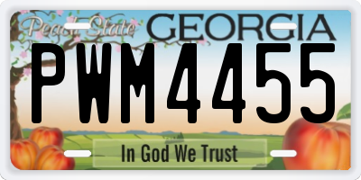 GA license plate PWM4455