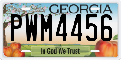 GA license plate PWM4456