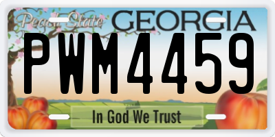 GA license plate PWM4459