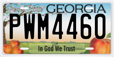 GA license plate PWM4460