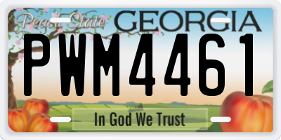 GA license plate PWM4461