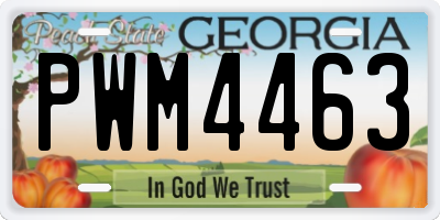 GA license plate PWM4463
