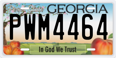 GA license plate PWM4464