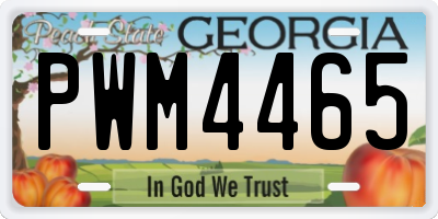 GA license plate PWM4465