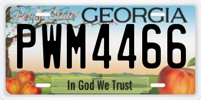 GA license plate PWM4466