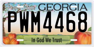 GA license plate PWM4468
