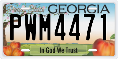GA license plate PWM4471