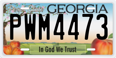 GA license plate PWM4473