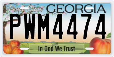 GA license plate PWM4474